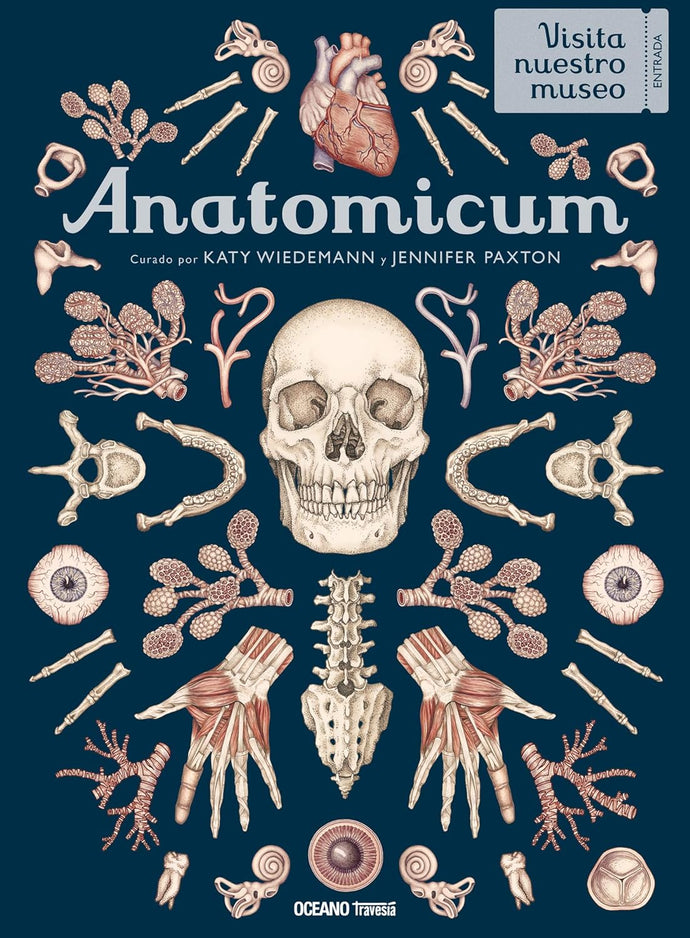 Anatomicum - Katy Wiedemann y Jennifer Paxton