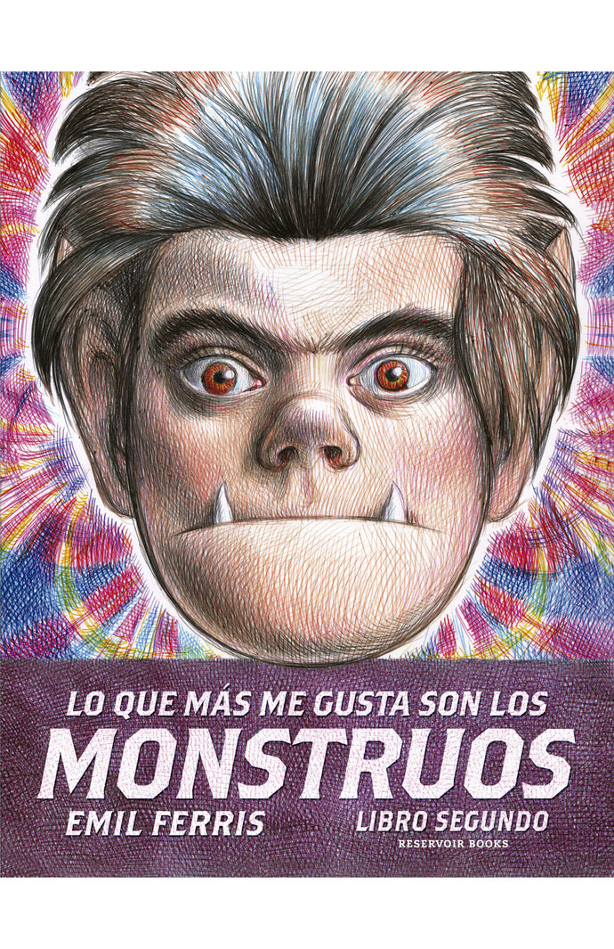 Lo que más me gusta son los monstruos 2 - Emil Ferris